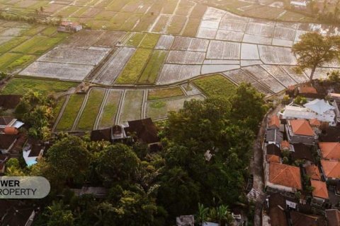 1750m2 Land in Tabanan, Bali (17354)