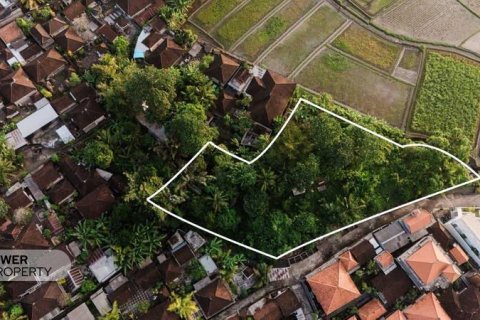 Tanah kavling 1750m2 di Tabanan, Bali (17354) 5