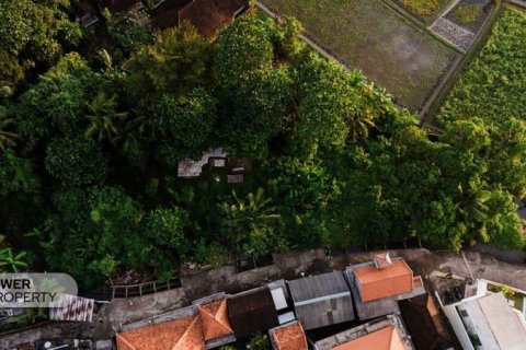 Tanah kavling 1750m2 di Tabanan, Bali (17354) 4
