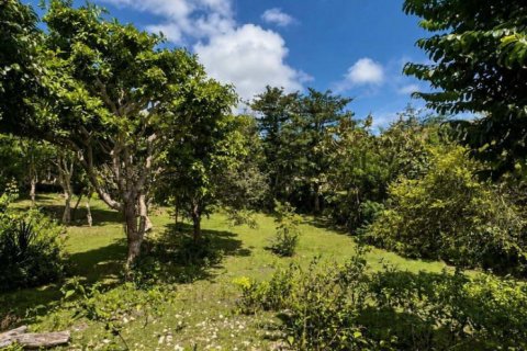1870m2 Land in South Kuta, Badung, Bali (17249) 11