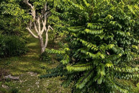 1870m2 Land in South Kuta, Badung, Bali (17249) 10