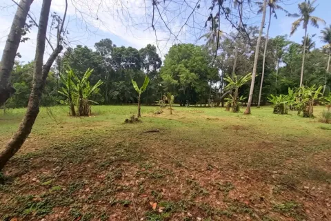 Land in Tabanan, Bali (17538) 5