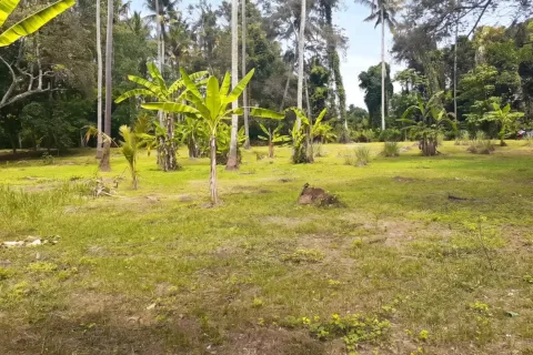 Land in Tabanan, Bali (17538) 3