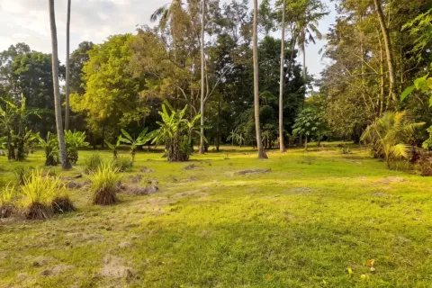 Land in Tabanan, Bali (17538) 7