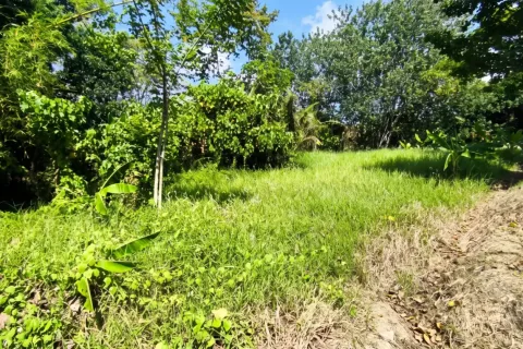 Land in Cepaka, Kediri, Tabanan, Bali (17330) 3