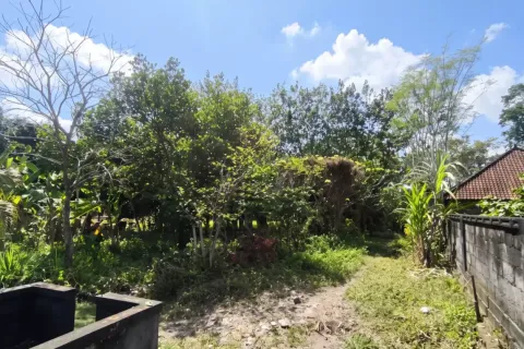 Land in Cepaka, Kediri, Tabanan, Bali (17330) 6