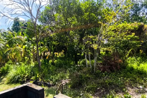 Land in Cepaka, Kediri, Tabanan, Bali (17330) 4