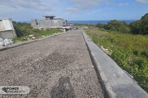 3600m2 Land in Nusa Dua, Badung, Bali (17250) 3