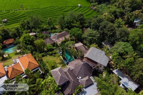 10 bedrooms Villa in Pererenan, Mengwi, Badung, Bali (17248) 13