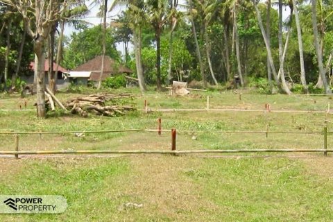 5325m2 Land in Tabanan, Bali (17325) 7