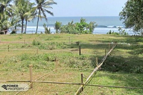 5325m2 Land in Tabanan, Bali (17325)