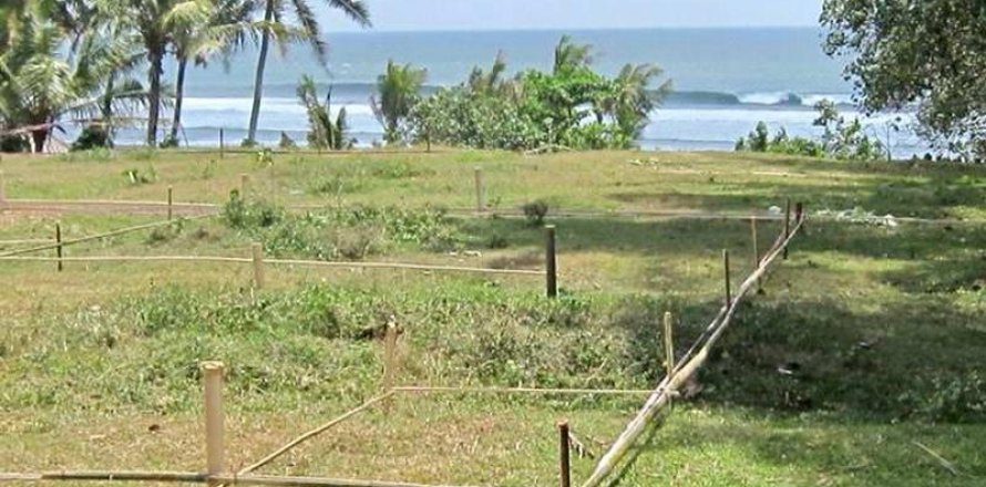 5325m2 Land in Tabanan, Bali (17325)