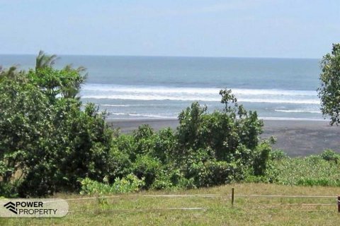 5325m2 Land in Tabanan, Bali (17325) 4