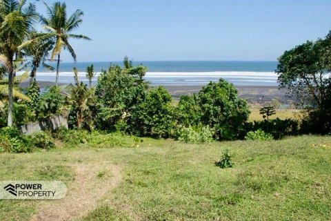 5325m2 Land in Tabanan, Bali (17325) 3