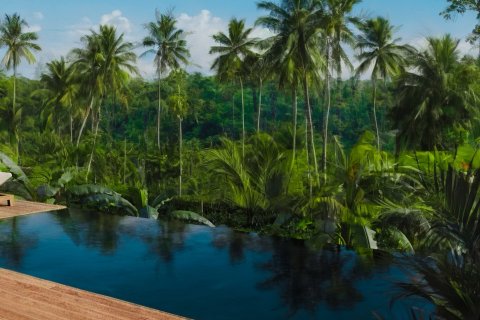 Serenity Villas in Ubud, Gianyar, Bali (17216) 7