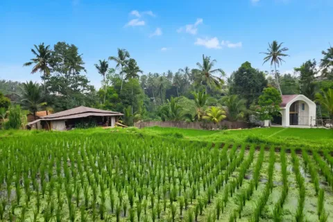 Land in Ubud, Gianyar, Bali (17275) 4