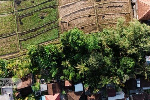 840m2 Land in Tabanan, Bali (17353) 2