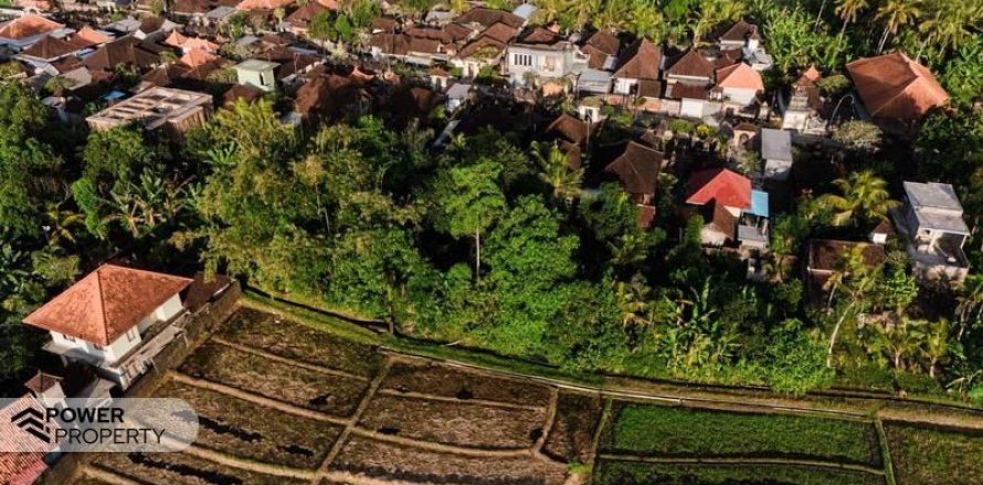 840m2 Land in Tabanan, Bali (17353)