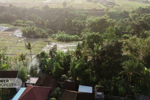 840m2 Land in Tabanan, Bali (17353) 3