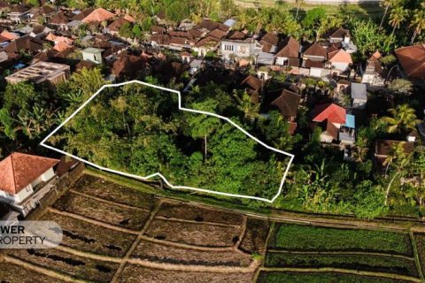 840m2 Land in Tabanan, Bali (17353) 4