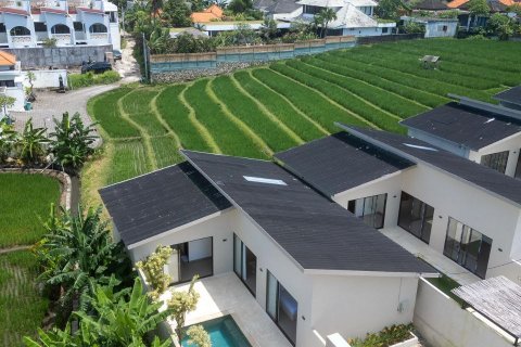 2 bedrooms Villa in Denpasar, Bali (9631) 3