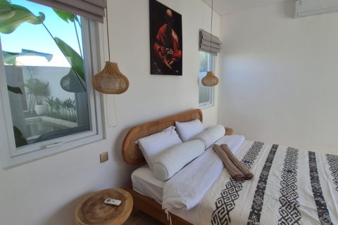 Vila 2 kamar tidur di Canggu, Badung, Bali (17209) 9