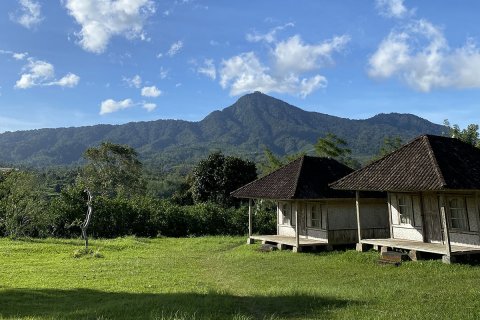 Pelaga - photo 1
