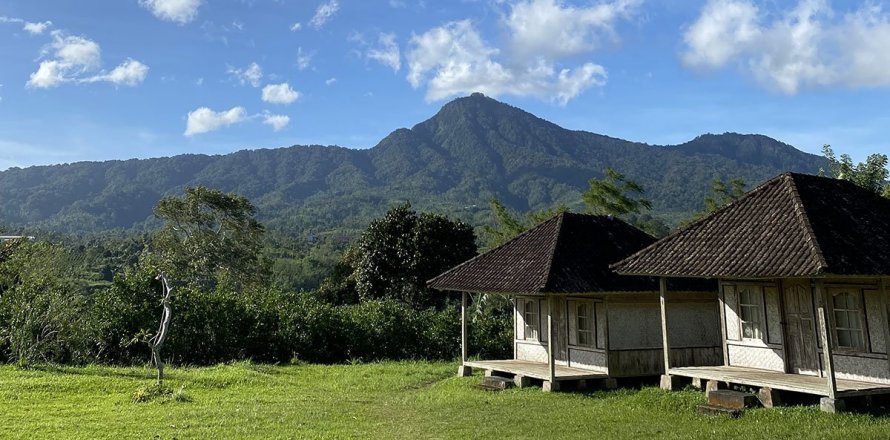 Pelaga