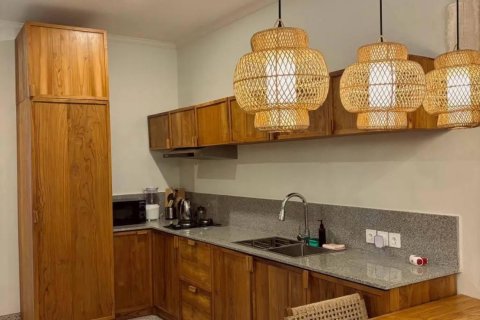 Вилла с 2 спальнями в Денпасар, Бали (8905) 6