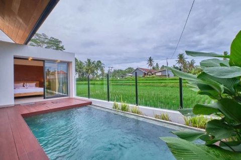 2 bedrooms Villa in Ubud, Gianyar, Bali (8891) 2