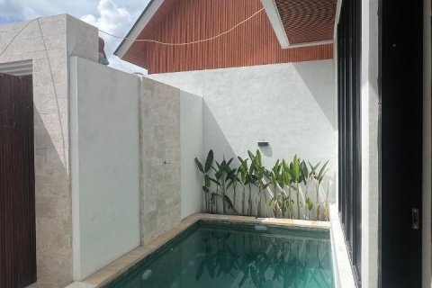 2 bedrooms Villa in Canggu, Badung, Bali (8875) 13