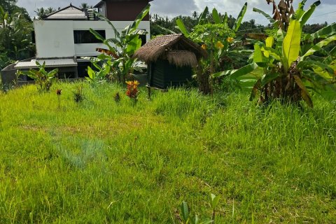 587m2 Land in Tabanan, Bali (14101) 2