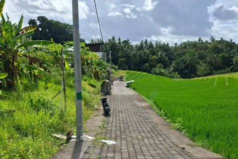 587m2 Land in Tabanan, Bali (14101) 4
