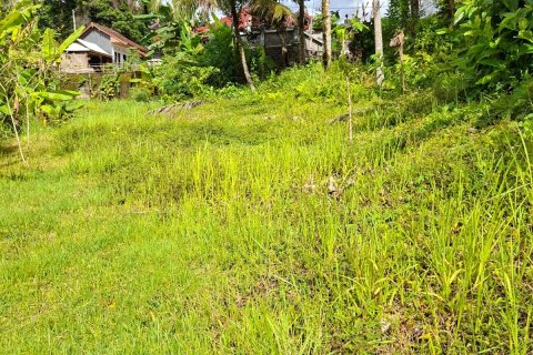 587m2 Land in Tabanan, Bali (14101) 3