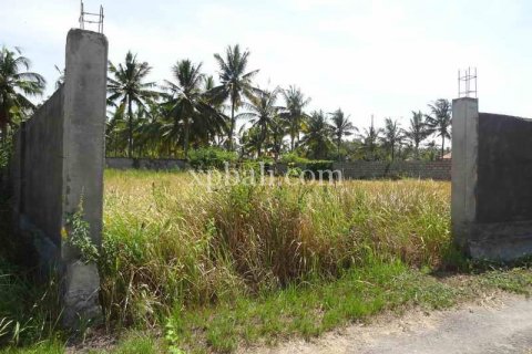 1000m2 Land in Ubud, Gianyar, Bali (974) 2