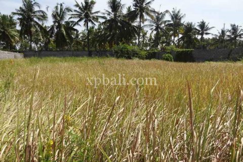 1000m2 Land in Ubud, Gianyar, Bali (974) 5