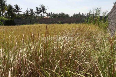 1000m2 Land in Ubud, Gianyar, Bali (974) 6