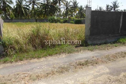 Tanah kavling 1000m2 di Ubud, Gianyar, Bali (974)