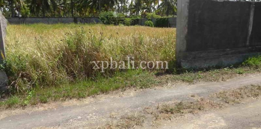 1000m2 Land in Ubud, Gianyar, Bali (974)