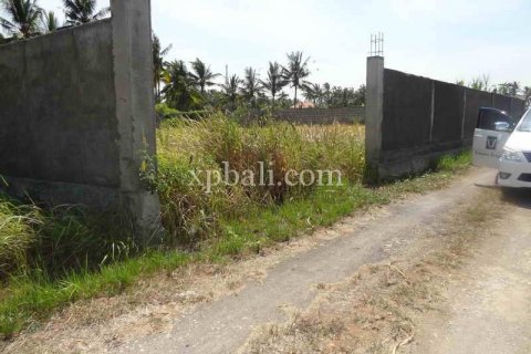 1000m2 Land in Ubud, Gianyar, Bali (974) 4