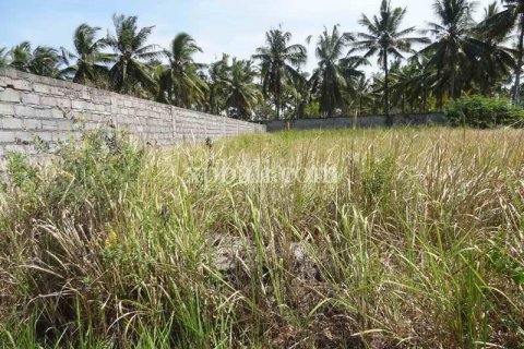 1000m2 Land in Ubud, Gianyar, Bali (974) 3