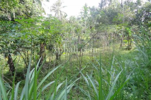 20252m2 Land in Ubud, Gianyar, Bali (975) 5