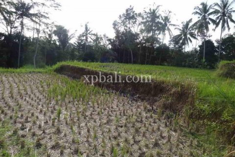 20252m2 Land in Ubud, Gianyar, Bali (975) 10