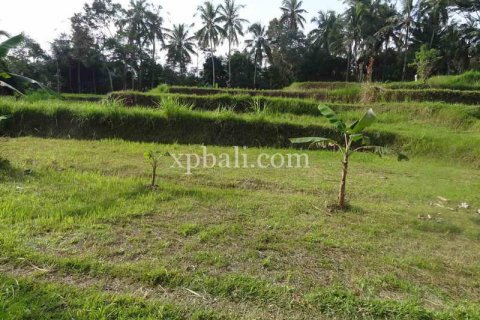 20252m2 Land in Ubud, Gianyar, Bali (975) 13