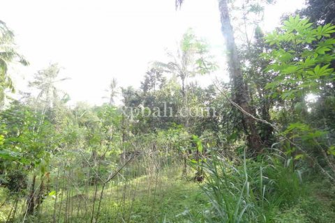 20252m2 Land in Ubud, Gianyar, Bali (975) 4