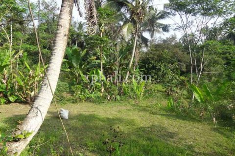 20252m2 Land in Ubud, Gianyar, Bali (975) 17