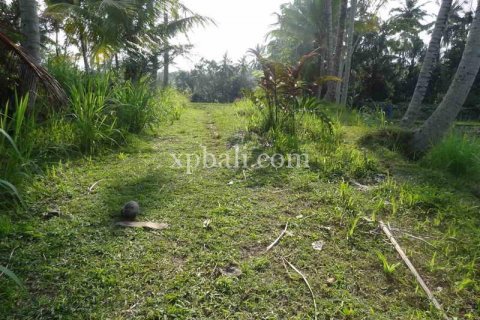 20252m2 Land in Ubud, Gianyar, Bali (975) 15