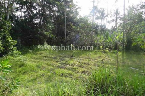 20252m2 Land in Ubud, Gianyar, Bali (975) 7
