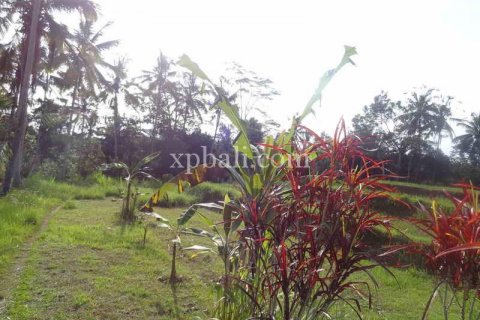20252m2 Land in Ubud, Gianyar, Bali (975) 12