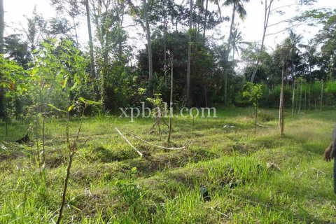 20252m2 Land in Ubud, Gianyar, Bali (975) 6